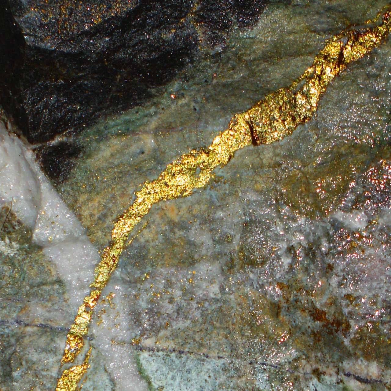 vein